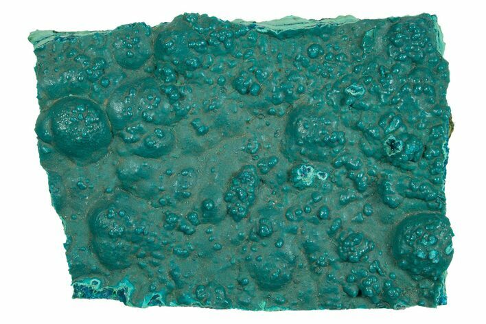 Teal Botryoidal Chrysocolla and Malachite - Chile #310122